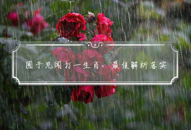 囿于见闻打一生肖，最佳解析落实