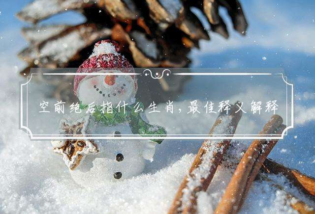 空前绝后指什么生肖,最佳释义解释